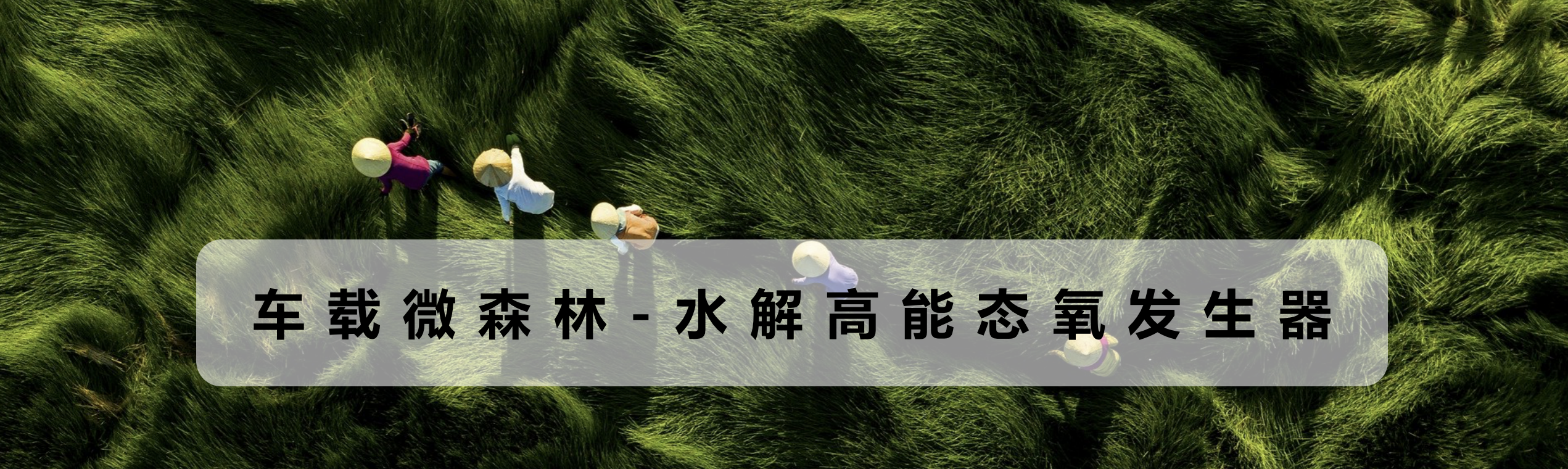 WX20240412-152151@2x.png